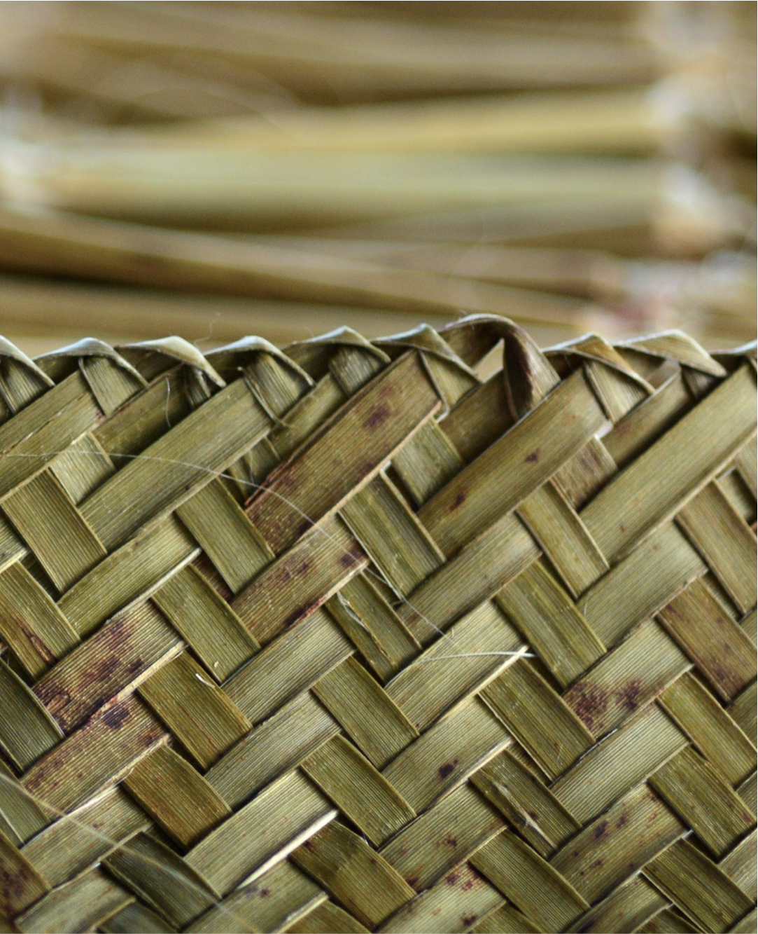 harakeke-weaving